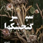 سپر گنجشکها